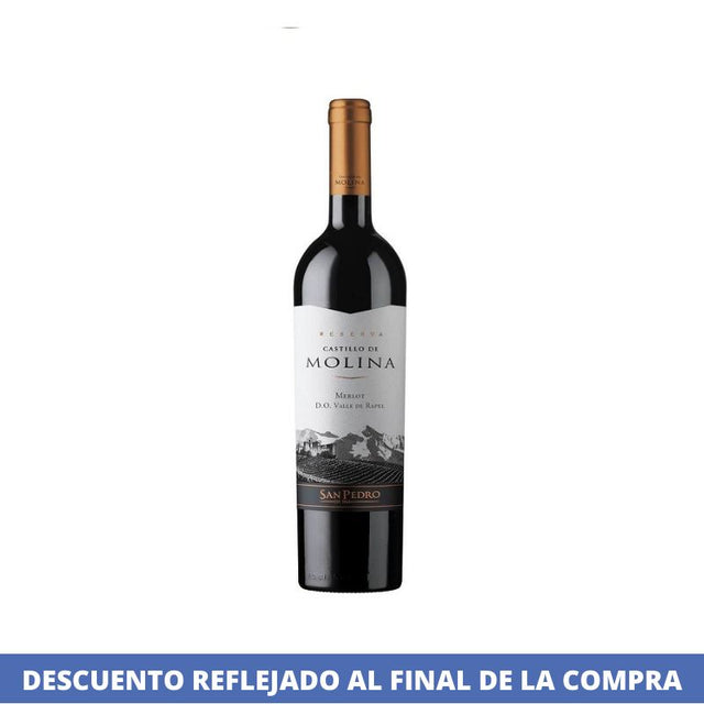Vino Tinto Merlot 750 Ml Castillo de Molina A
